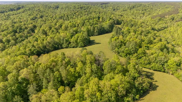$2,099,900 | 198 Robinson Hollow Road, Waynesboro, TN 38485