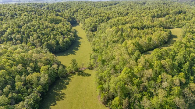 $2,099,900 | 198 Robinson Hollow Road, Waynesboro, TN 38485