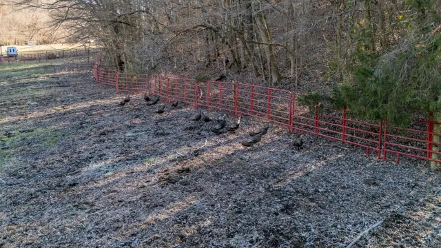 $2,099,900 | 198 Robinson Hollow Road, Waynesboro, TN 38485