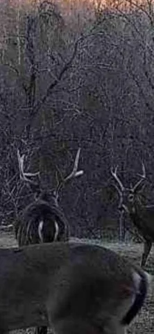 $2,099,900 | 198 Robinson Hollow Road, Waynesboro, TN 38485