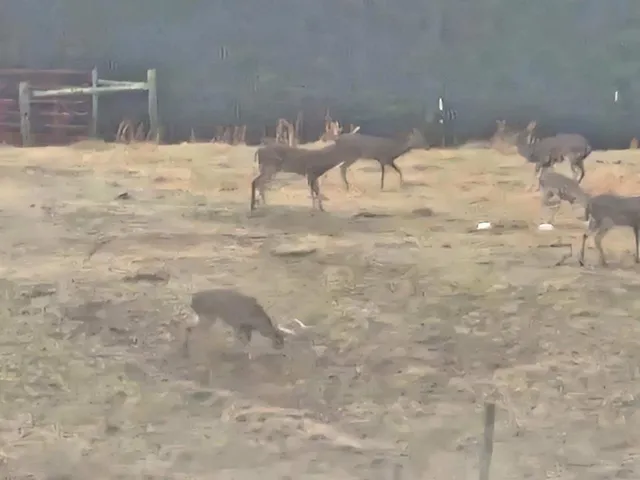 $2,099,900 | 198 Robinson Hollow Road, Waynesboro, TN 38485