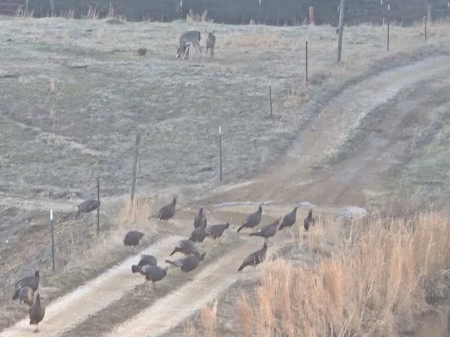 $2,099,900 | 198 Robinson Hollow Road, Waynesboro, TN 38485