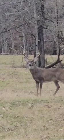 $2,099,900 | 198 Robinson Hollow Road, Waynesboro, TN 38485