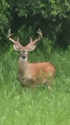 $2,099,900 | 198 Robinson Hollow Road, Waynesboro, TN 38485