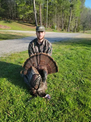 $2,099,900 | 198 Robinson Hollow Road, Waynesboro, TN 38485