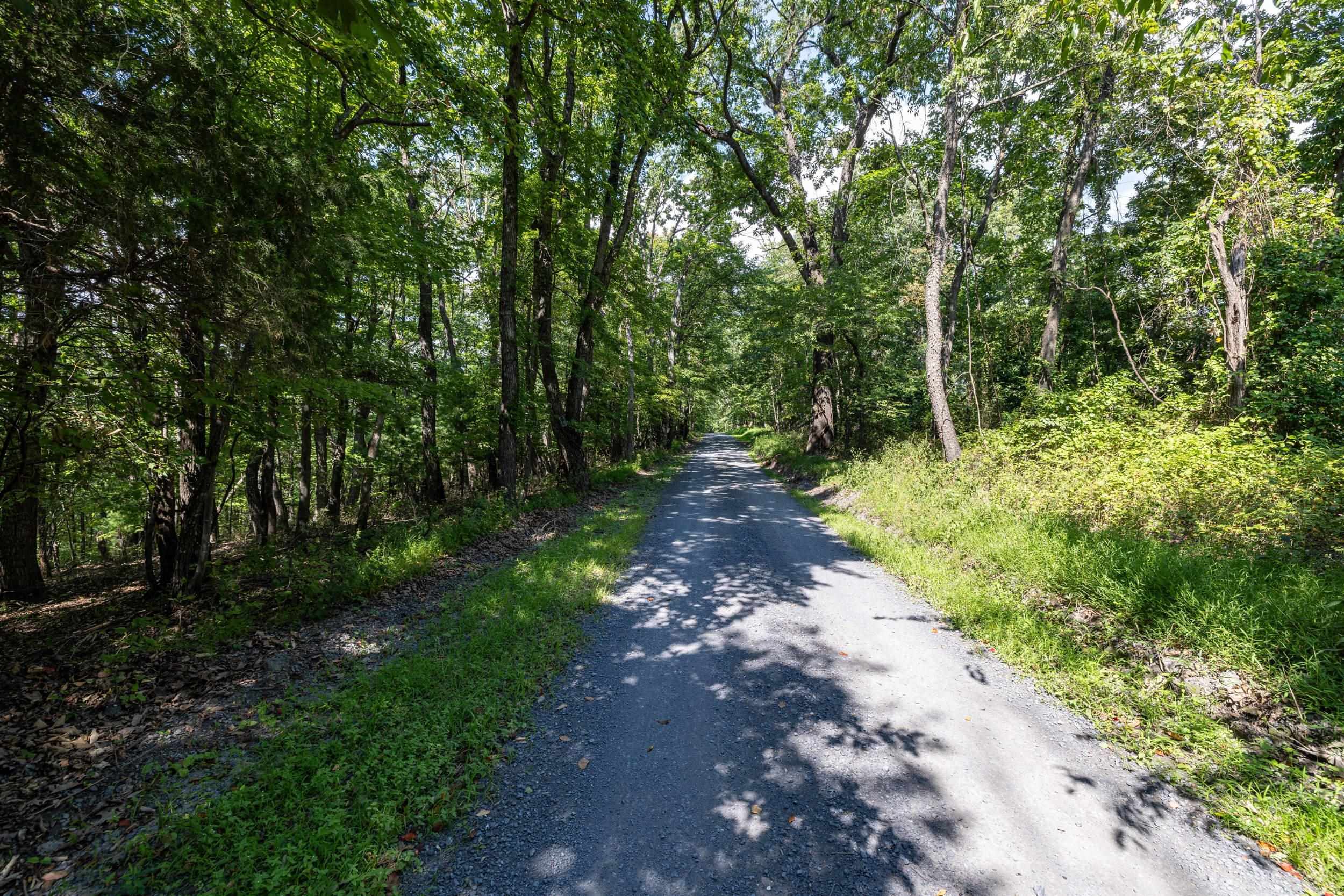 0 Supinlick Ridge Road Broadway, VA 22815 - Photo 10 of 35 Gallery Image 10