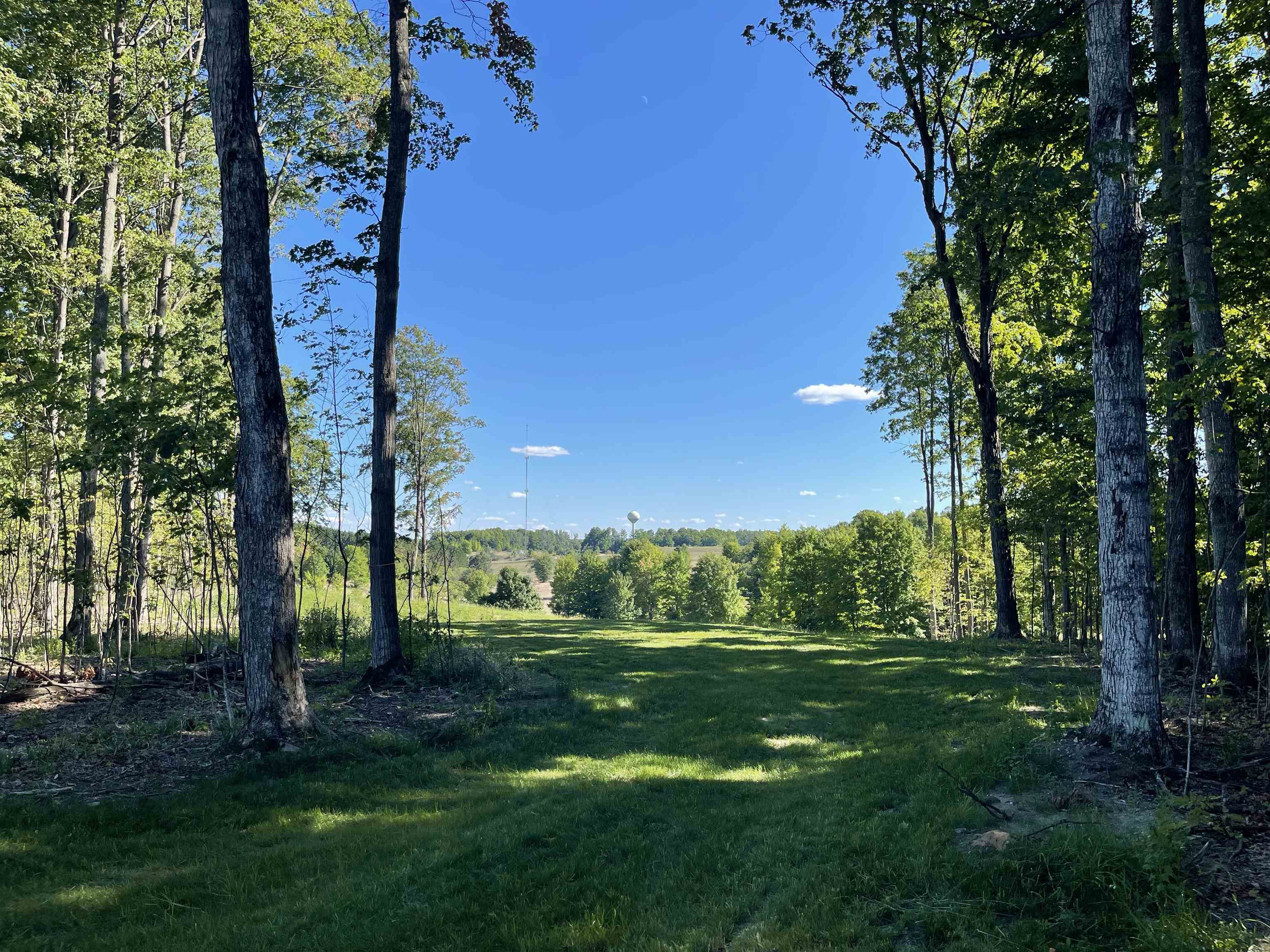6325 Mountain Sky Road, Unit LOT 70 Kingsley, MI 49649 - Photo 5 of 31