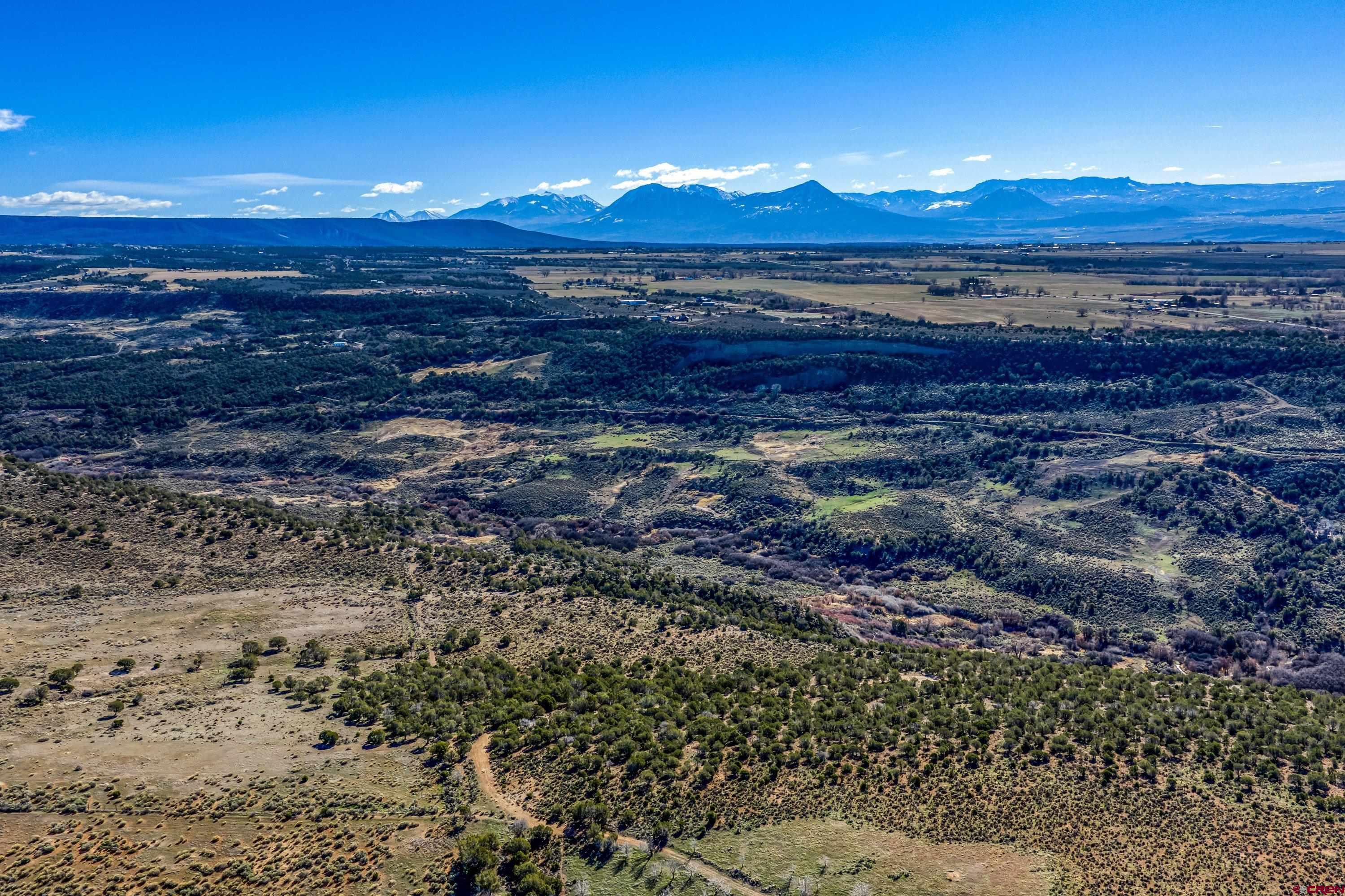 14421 Rimrock Road Hotchkiss, CO 81419 - Photo 10 of 39