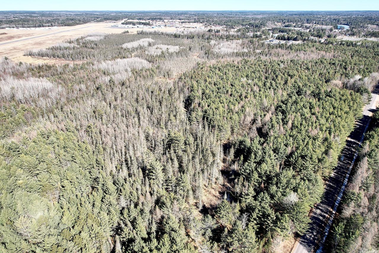 78-acres Illinois Road Eagle River, WI 54521 - Photo 7 of 13 Gallery Image 7