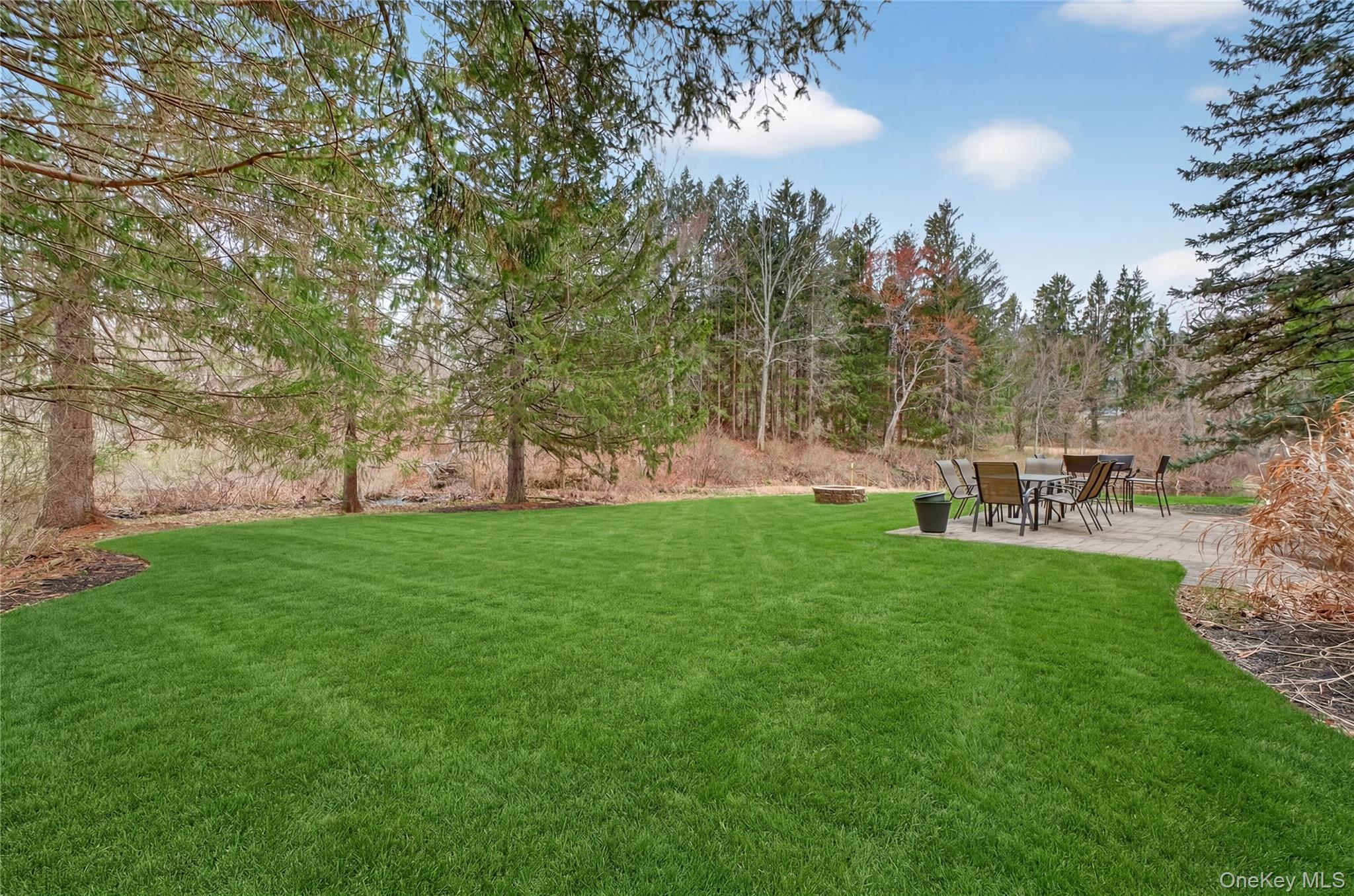256 Overlook Road Poughkeepsie, NY 12603 - Photo 41 of 47 a view of yard with green space and trees