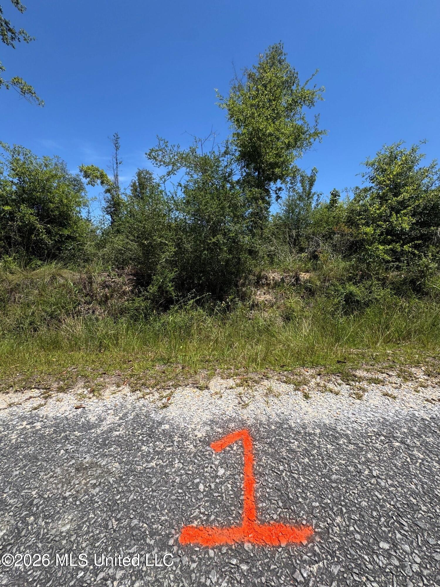1 Dubose Road Lumberton, MS 39455 - Photo 3 of 5 lot 1.4