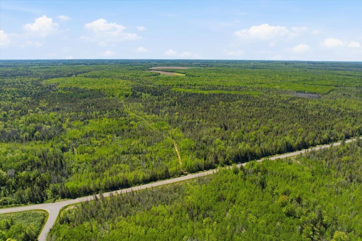0 County Highway J Deerbrook, WI 54424 - Photo 35 of 78