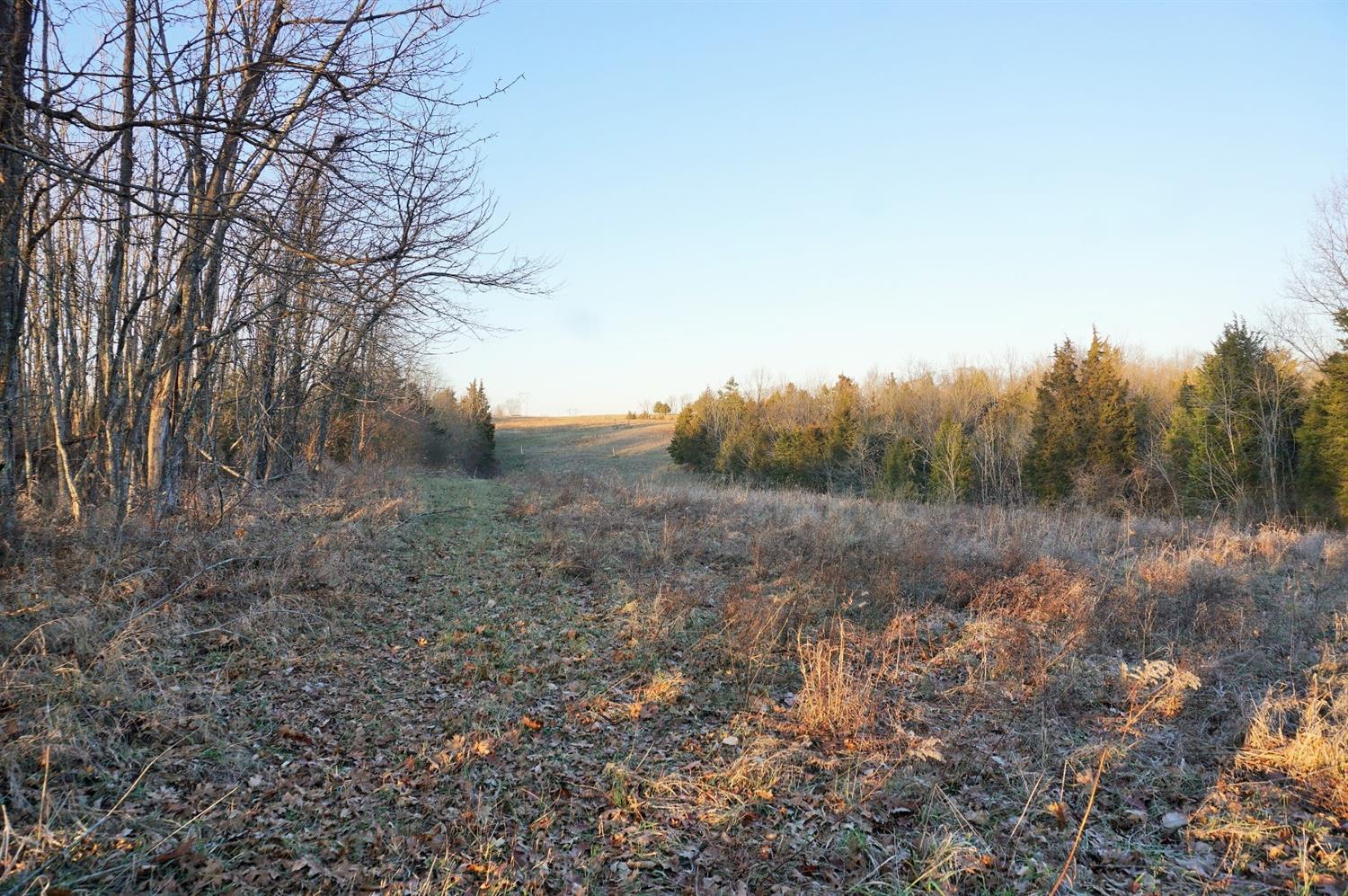 8305 Bocock Road Dillsboro, IN 47018 - Photo 50 of 80 View from the southwest corner of the property towards the middle woods.