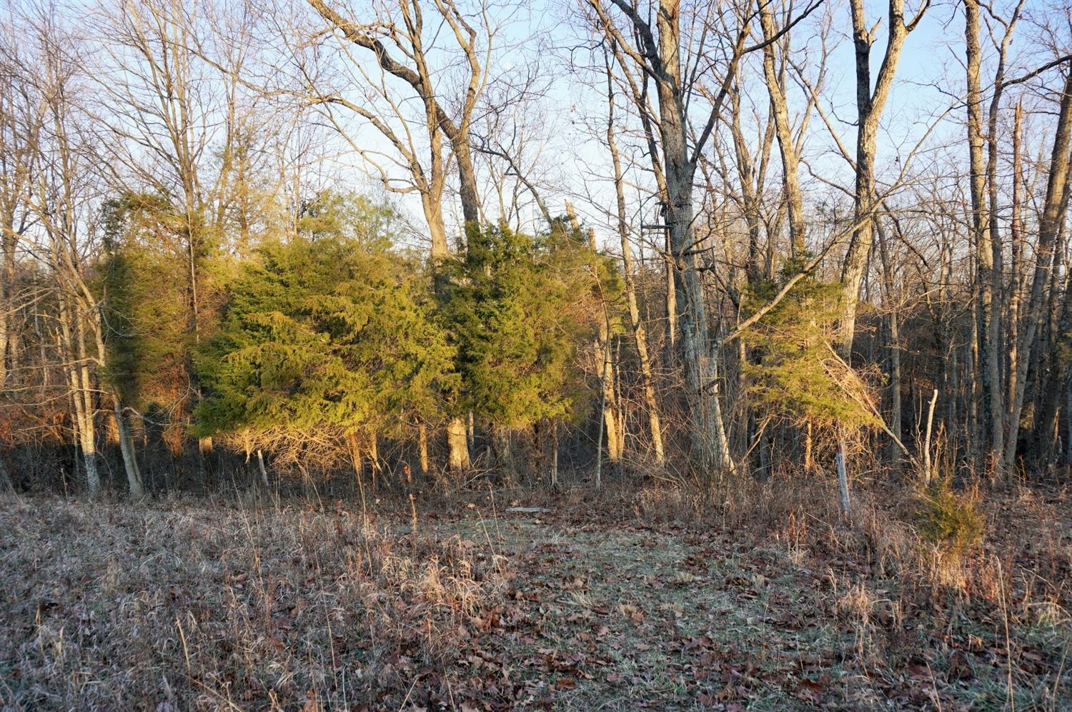 8305 Bocock Road Dillsboro, IN 47018 - Photo 53 of 80 Tree stand along the wood line from outside the woods.