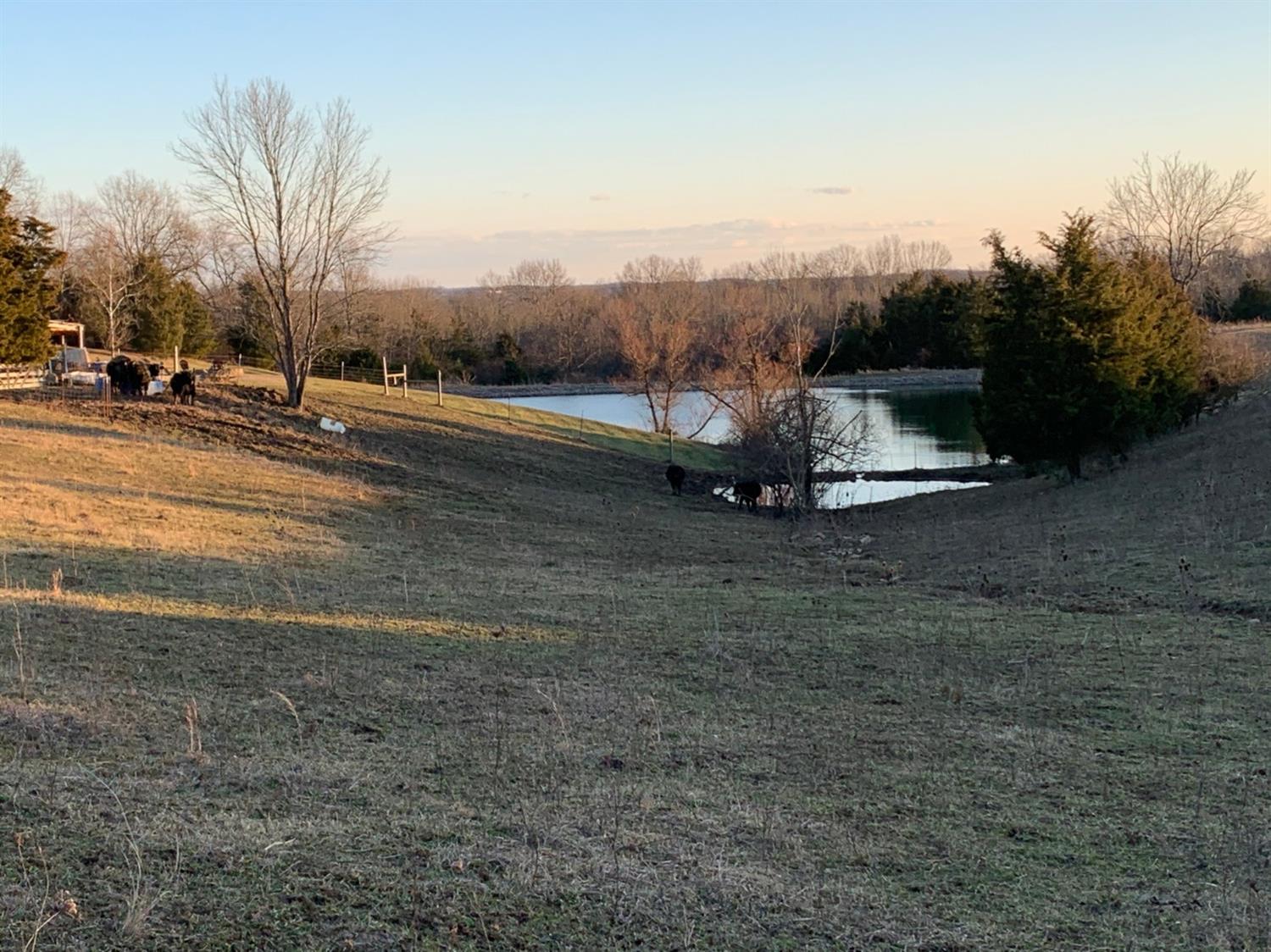 8305 Bocock Road Dillsboro, IN 47018 - Photo 57 of 80 View of the ponds from the north fence line.