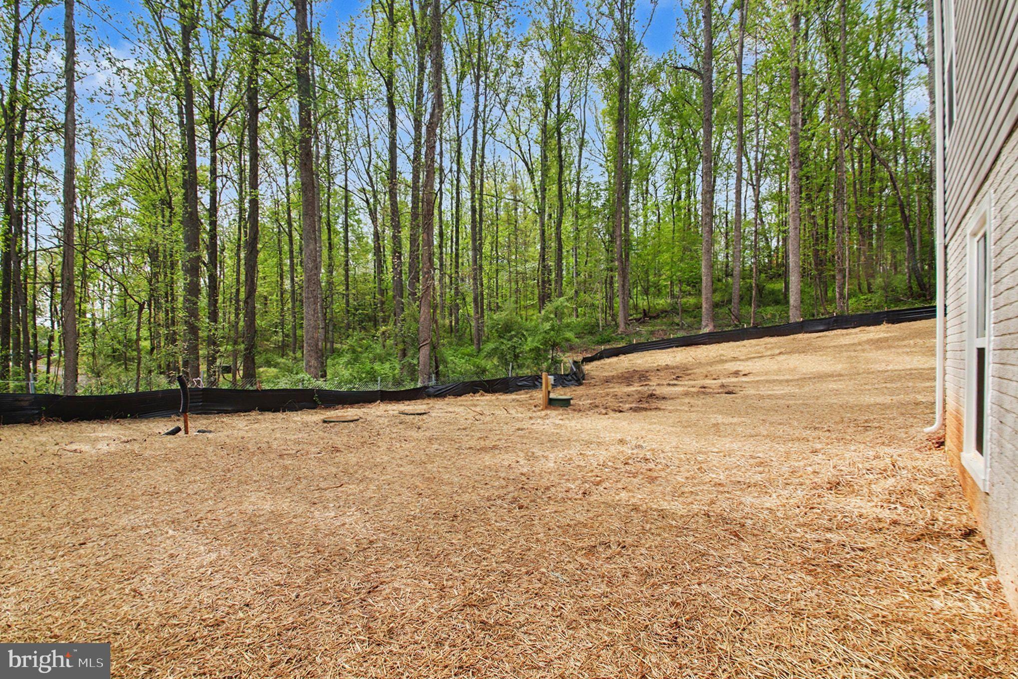 7253 Blackwell Road Warrenton, VA 20187 - Photo 41 of 41 Serene wooded lot for your dream home.