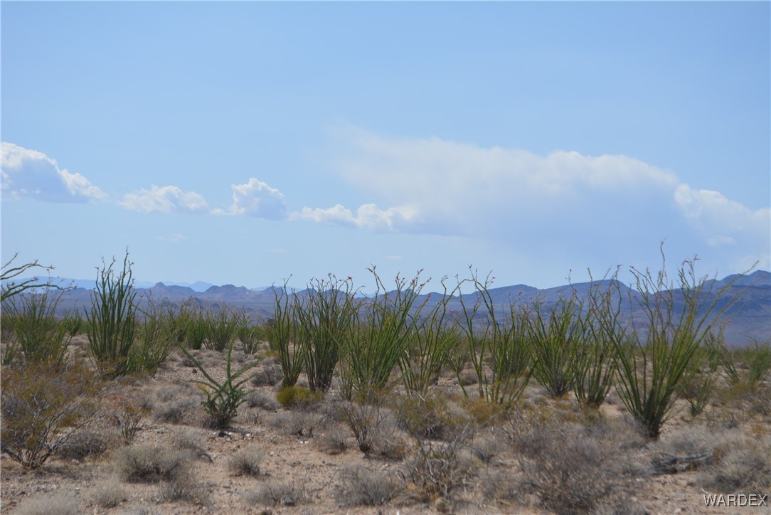 245-24-107 South Rainbow Road Yucca, AZ 86438 - Photo 73 of 91