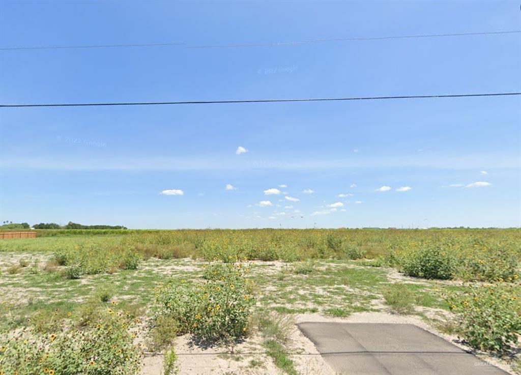 18711 Elisios Street Edcouch, TX 78538 - Photo 1 of 1 View of the lot Half Acre