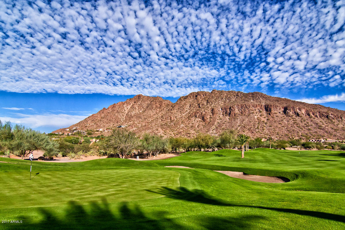 6909 East Osborn Road, Unit F Scottsdale, AZ 85251 - Photo 40 of 55 a view of a grassy field with an trees
