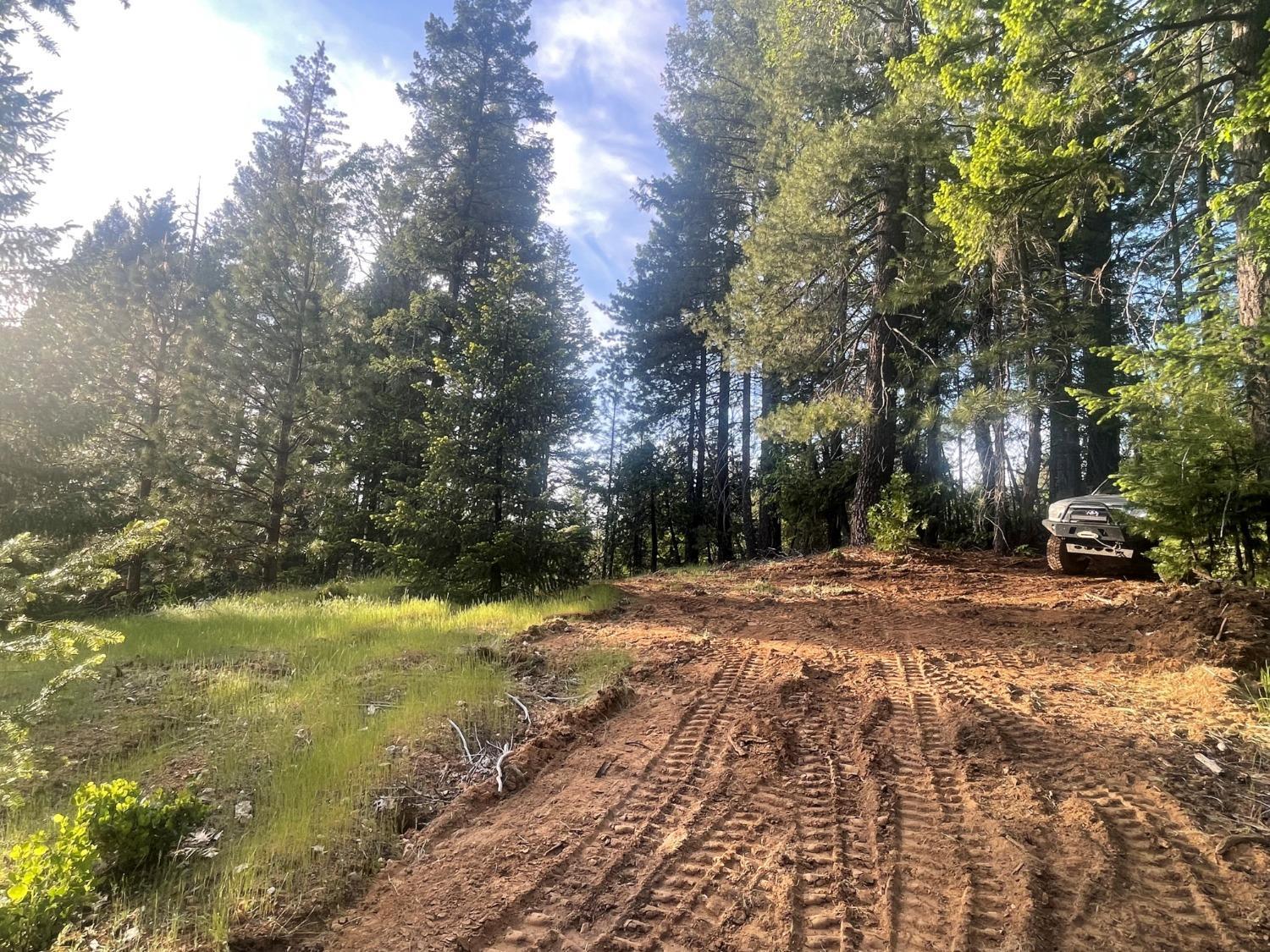 a view of a yard with a tree