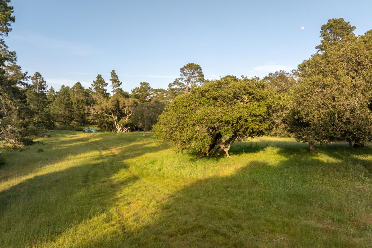 5155 Carmel Valley Road Carmel, CA 93923 - Photo 10 of 48