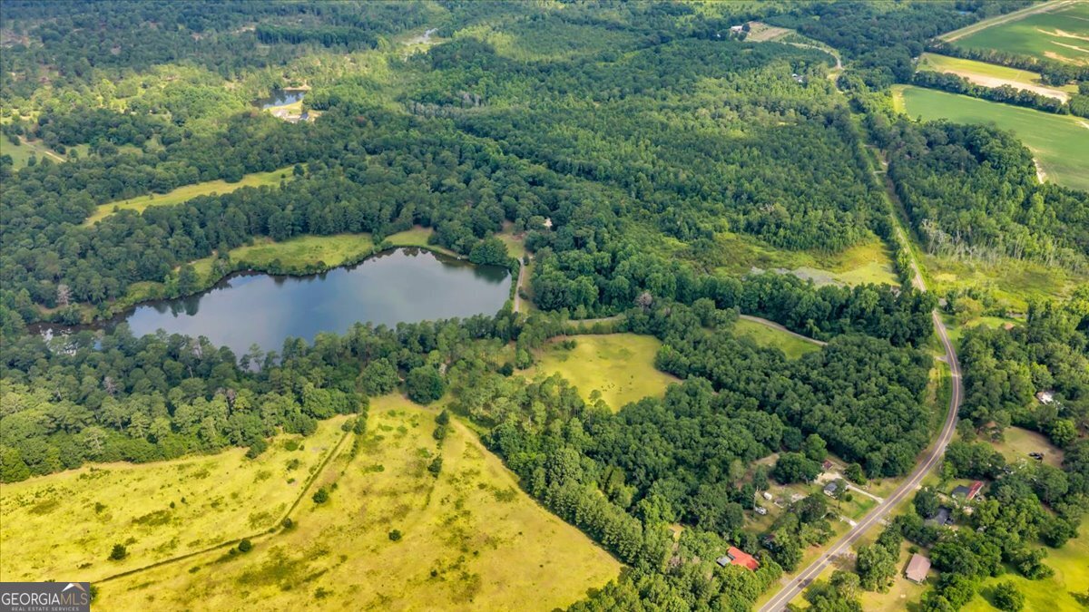 1060 Cooks Mill Road Oglethorpe, GA 31068 - Photo 86 of 104