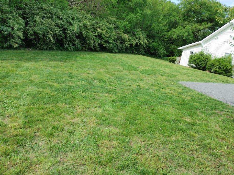 2009 Jones Circle Nashville, TN 37207 - Photo 8 of 18 a view of outdoor space with deck and yard