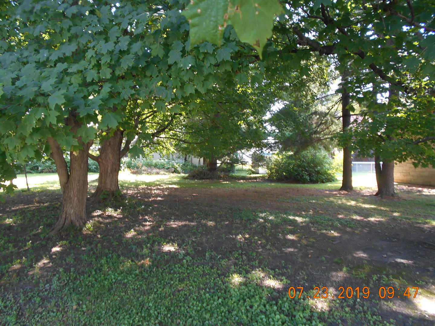 208 North 1st Street Ridge Farm, IL 61870 - Photo 3 of 23 a view of road and trees