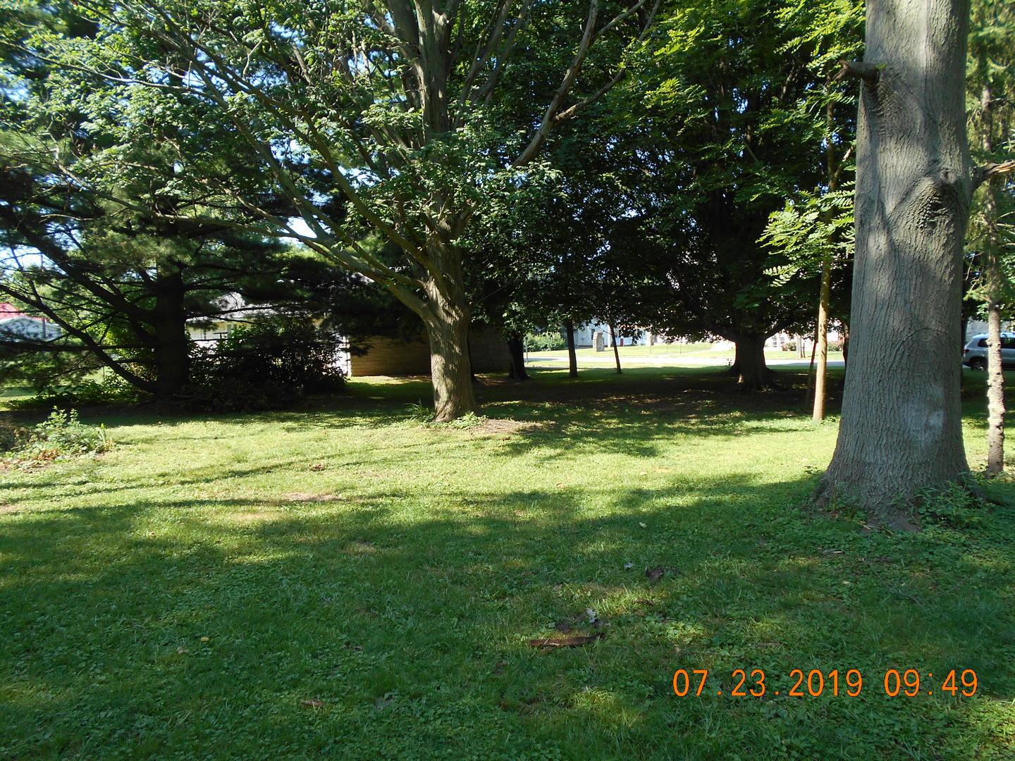 208 North 1st Street Ridge Farm, IL 61870 - Photo 7 of 23 a view of a trees in a yard