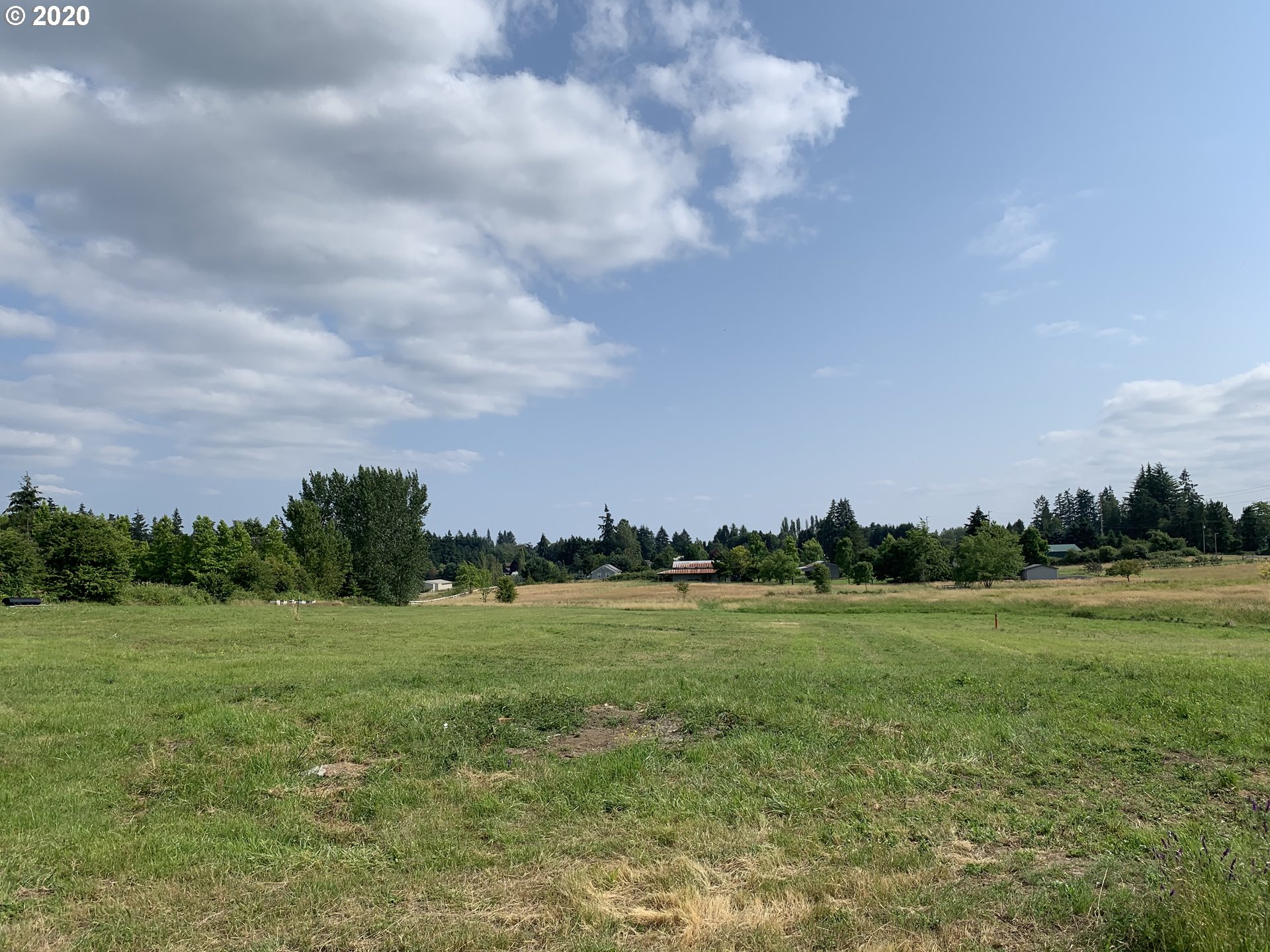 3809 Northwest 209th Street Ridgefield, WA 98642 - Photo 4 of 5 a view of a grassy field with trees in the background