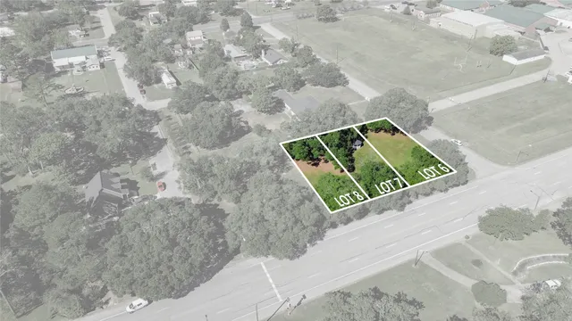 a view of a garden with plants