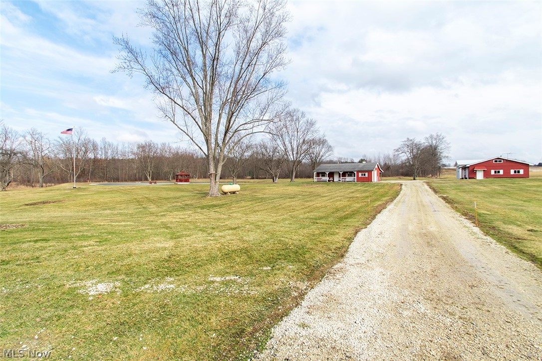 6961 Bear Swamp Road Medina, OH 44256 - Photo 26 of 40 View of road