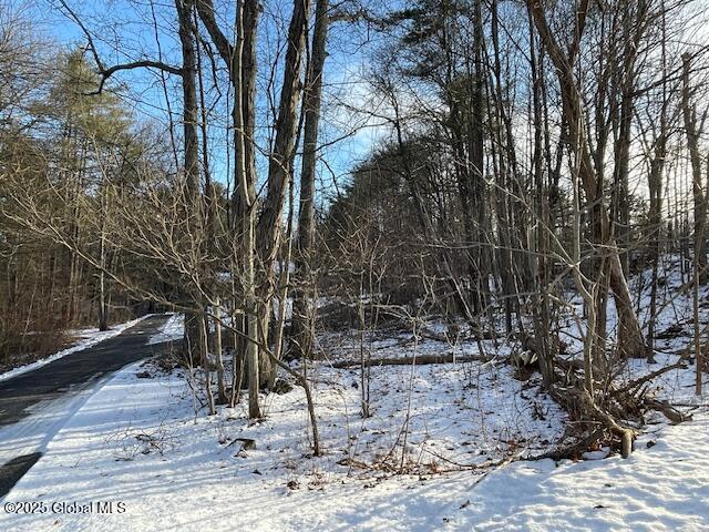233 Silver Spur Road East Cairo, NY 12413 - Photo 13 of 13 IMG_3525 (1)