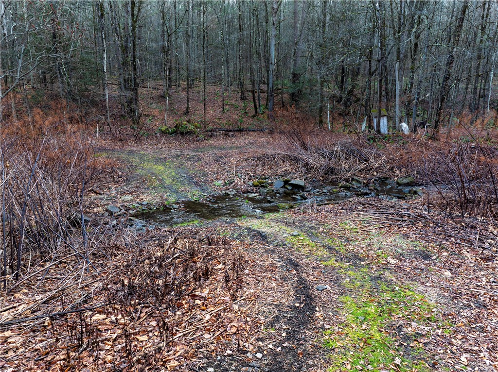 10806 West Caton Road Caton, NY 14830 - Photo 10 of 30