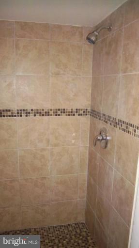 227 Arden Road West Brooklyn, MD 21225 - Photo 3 of 22 Bath #2