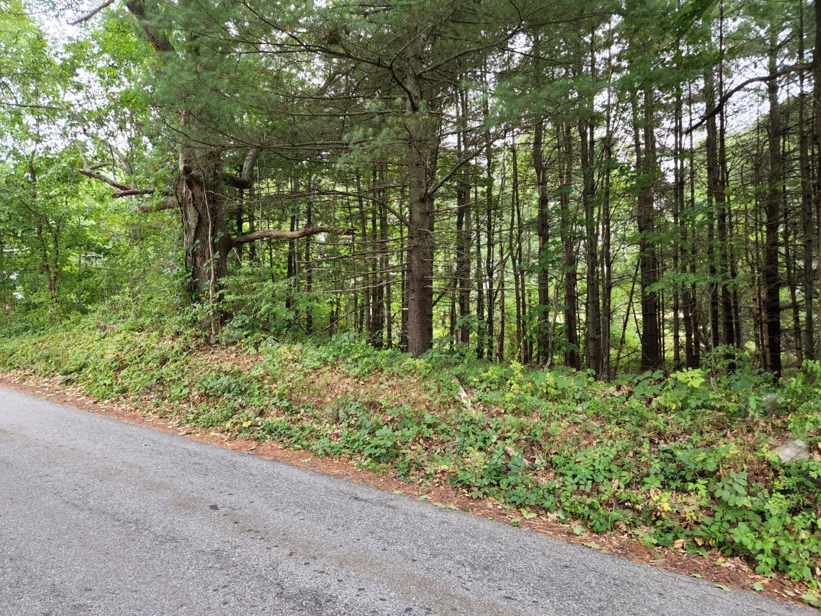 0 King Road Charlton, MA 01507 - Photo 2 of 4 Gallery Image 2