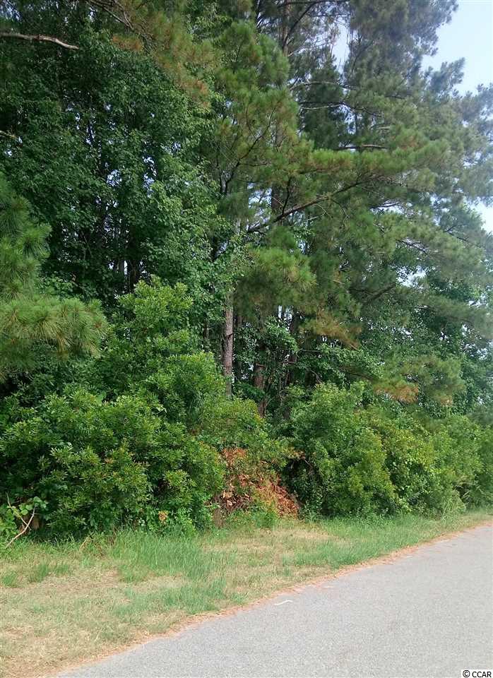 Lot 21 Wateree River Road Myrtle Beach, SC 29588 - Photo 1 of 1 Gallery Image 1