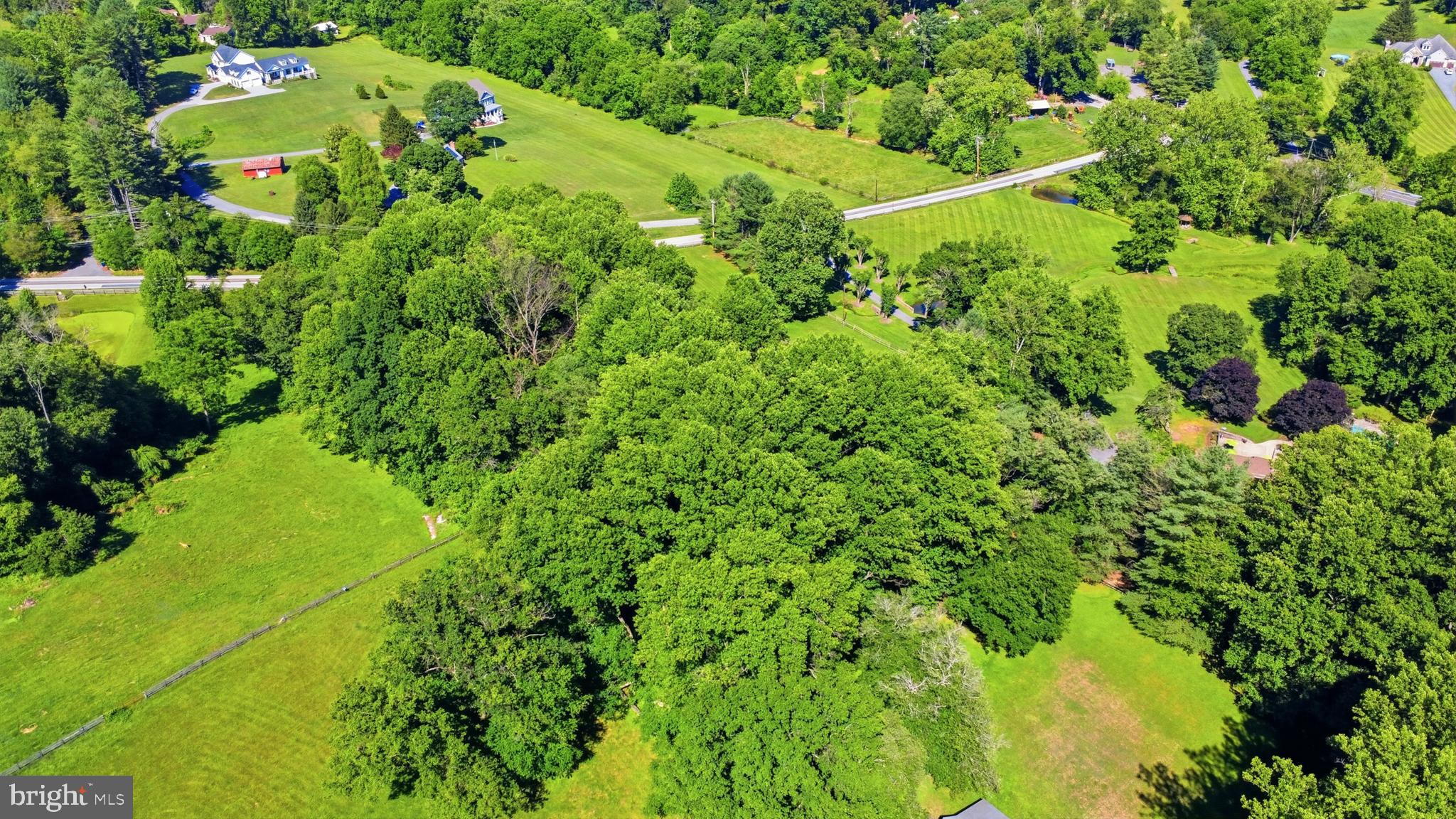 14171 Triadelphia Mill Road Dayton, MD 21036 - Photo 7 of 11
