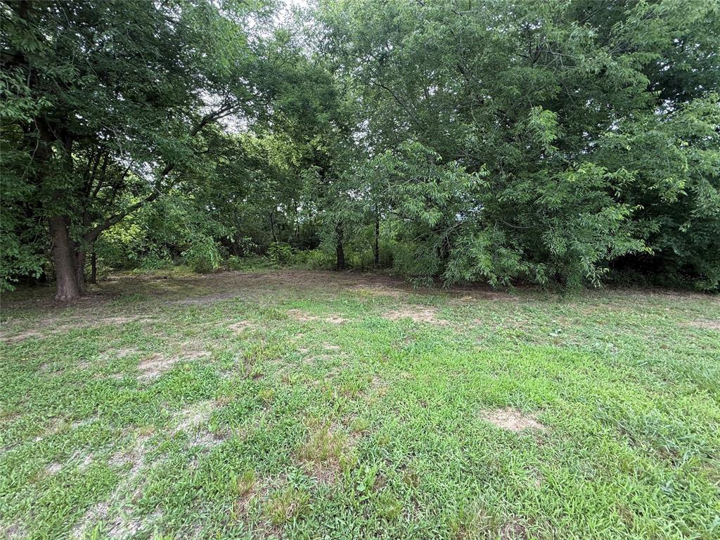 271 County Road 3604 Saltillo, TX 75478 - Photo 7 of 20