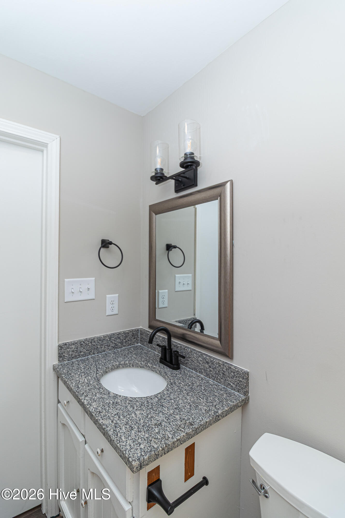 358 White Flash Road Mount Olive, NC 28365 - Photo 18 of 19