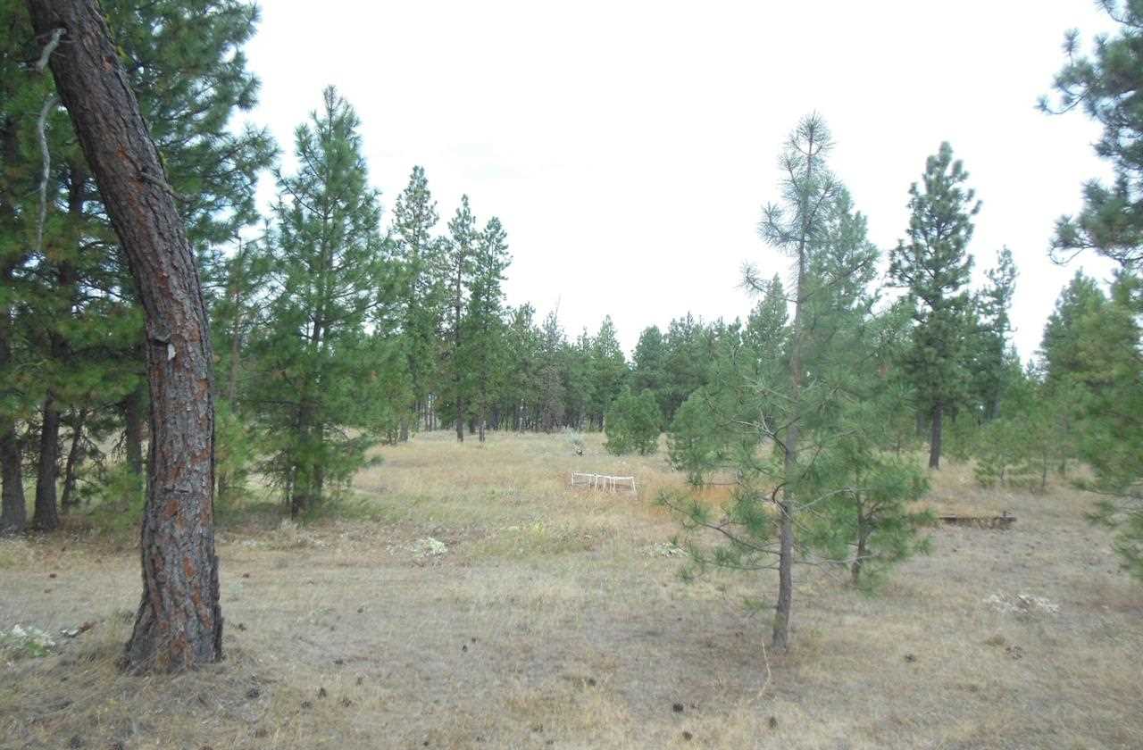 29220 West Cornwall Road Edwall, WA 99008 - Photo 11 of 11 Gallery Image 11