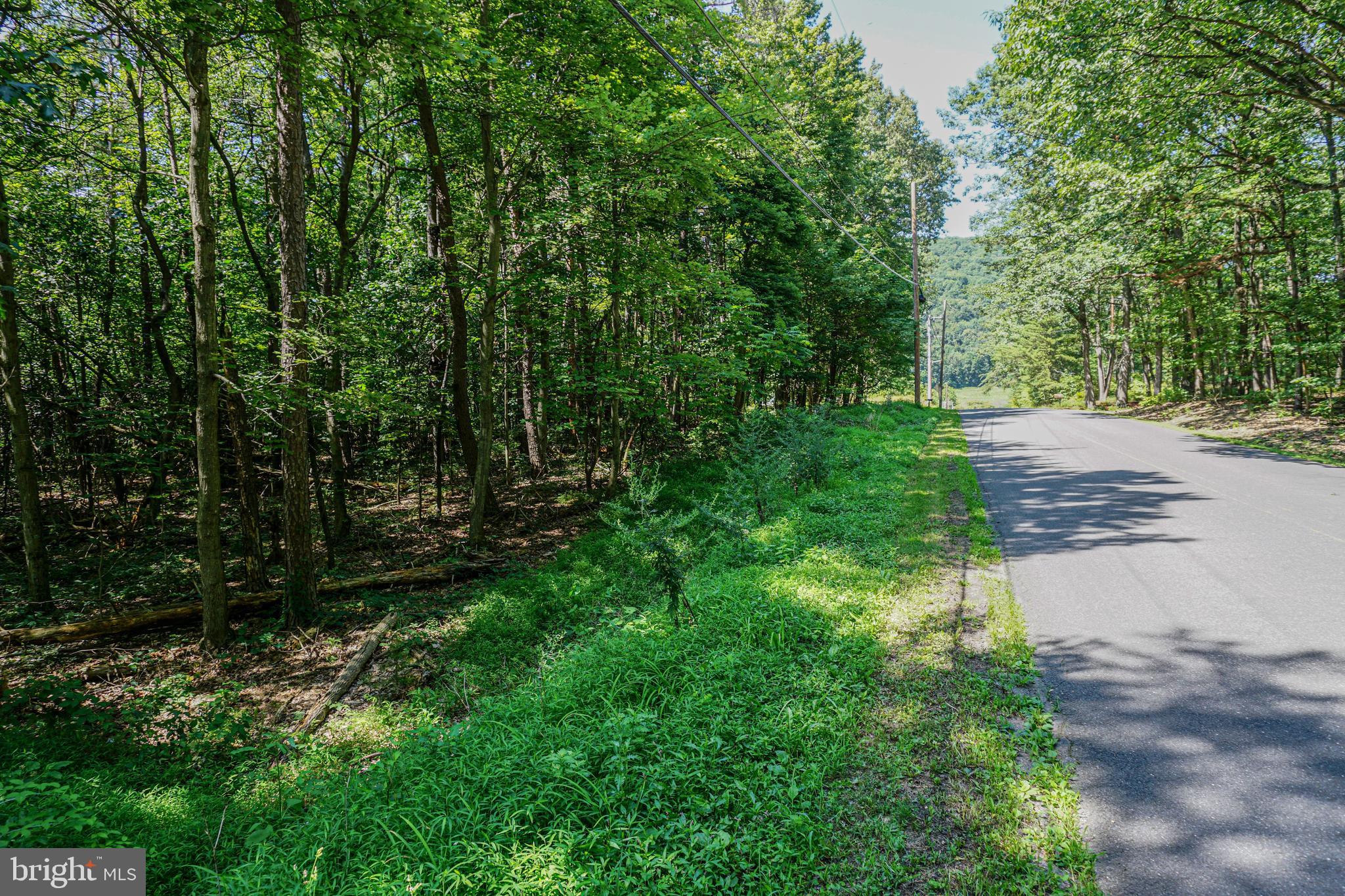 Bastian Road Halifax, PA 17032 - Photo 6 of 16 a view of yard