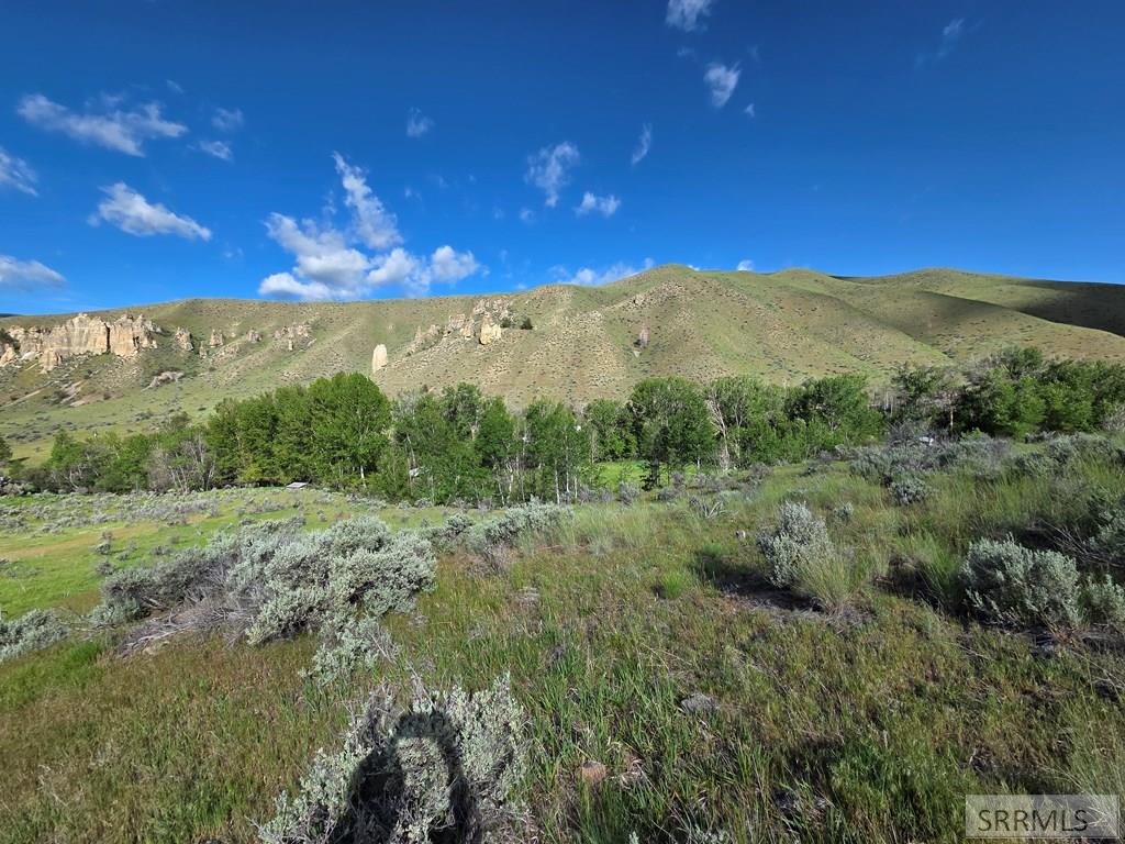 Nkn East Tower Creek Road Carmen, ID 83462 - Photo 35 of 63
