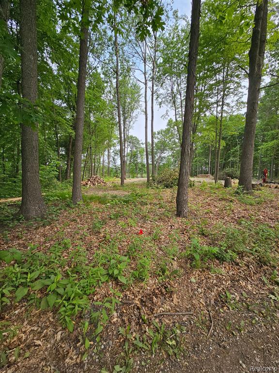 4647 Sweet Road Howell, MI 48843 - Photo 7 of 20