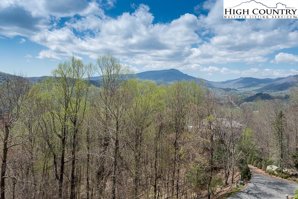 410 Rhododendron Lane Boone, NC 28607 - Photo 19 of 47 Gallery Image 19