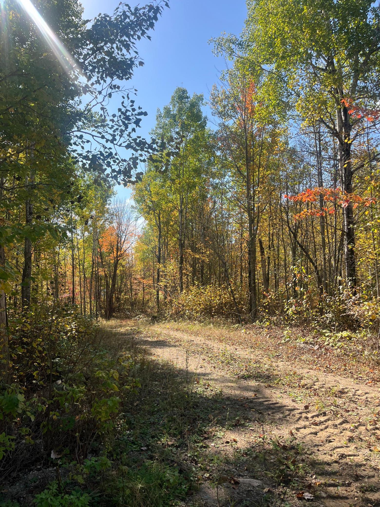 Lot 7 Wilderness Way Road Orr, MN 55771 - Photo 2 of 8