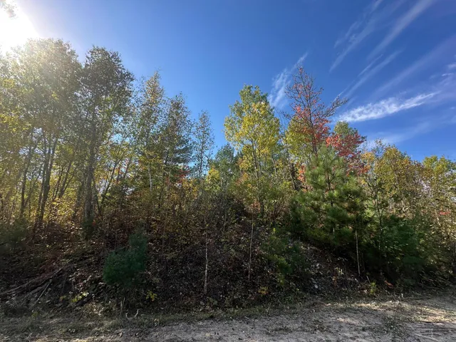 $239,000 | Lot 7 Wilderness Way Road, Orr, MN 55771