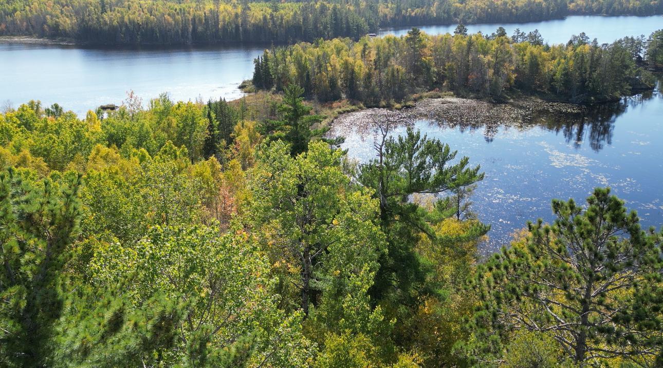 Lot 7 Wilderness Way Road Orr, MN 55771 - Photo 6 of 8