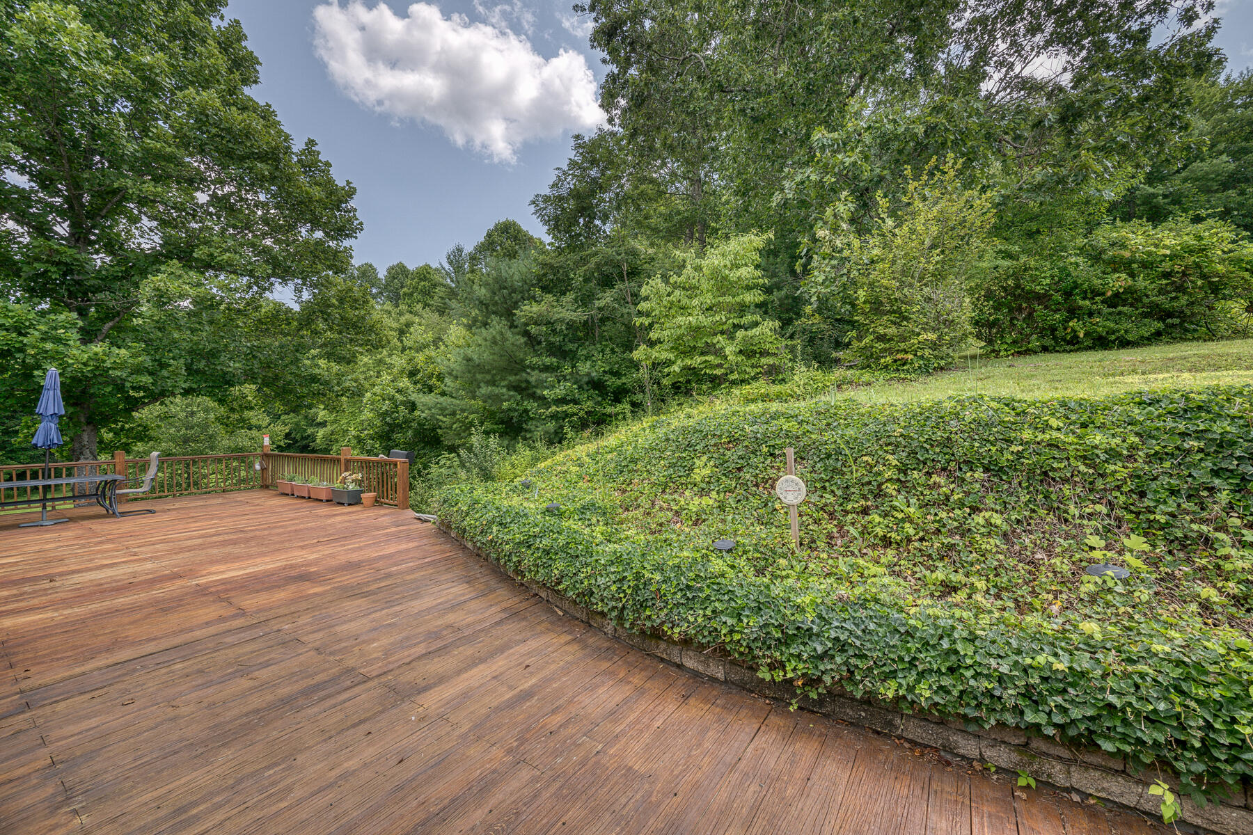 13869 Highway 67 West Butler, TN 37640 - Photo 3 of 63 13869 HWY 67 W 3