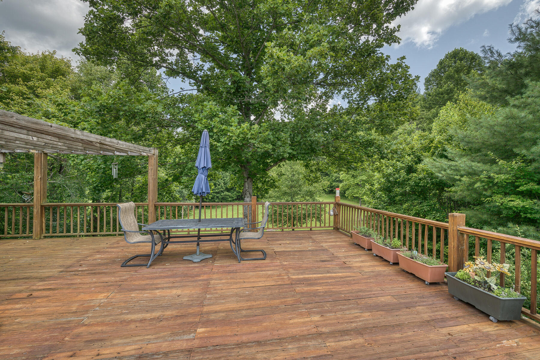13869 Highway 67 West Butler, TN 37640 - Photo 4 of 63 13869 HWY 67 W 4